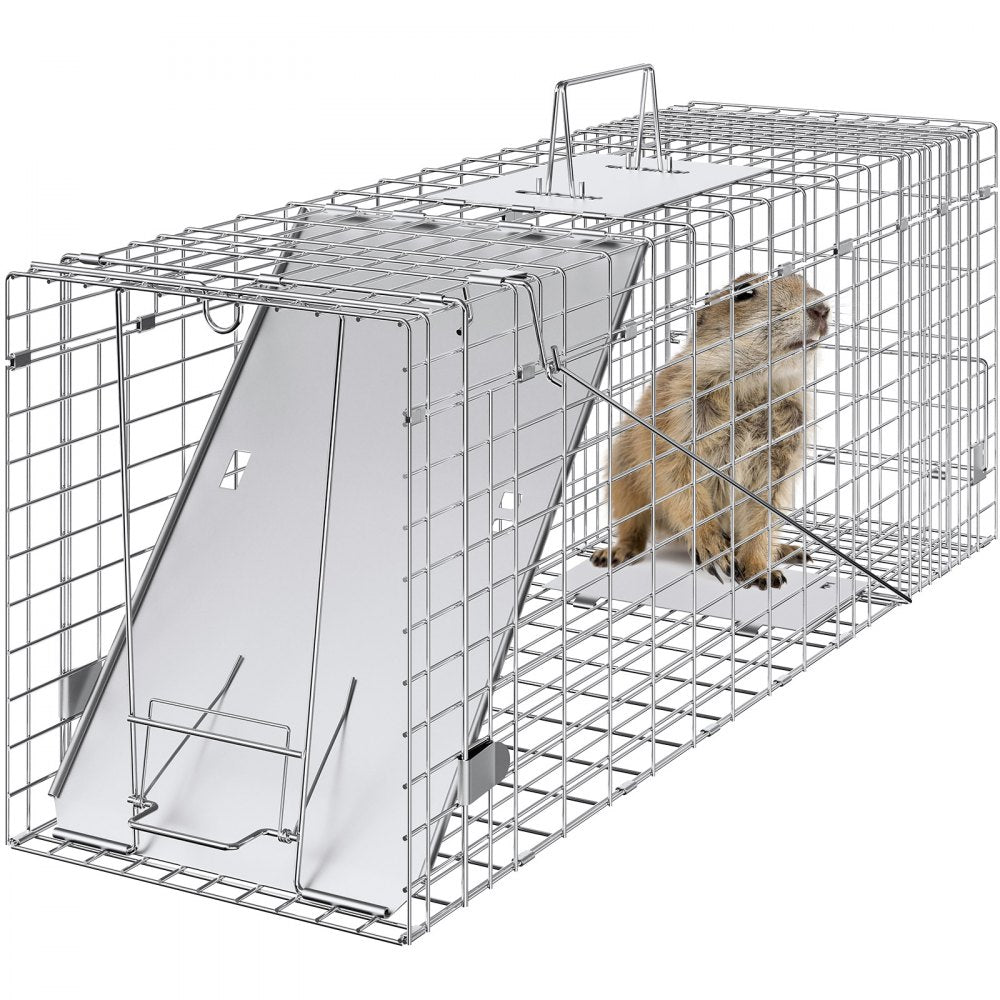 ODDTOOLS Live Animal Cage Trap, 31" x 10" x 12" Humane Cat Trap Galvanized Iron, Folding Animal Trap with Handle for Rabbits, Stray Cats, Squirrels, Raccoons, Groundhogs and Opossums